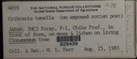 Image Associated With the Occurence